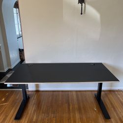 Fully Standing Desk