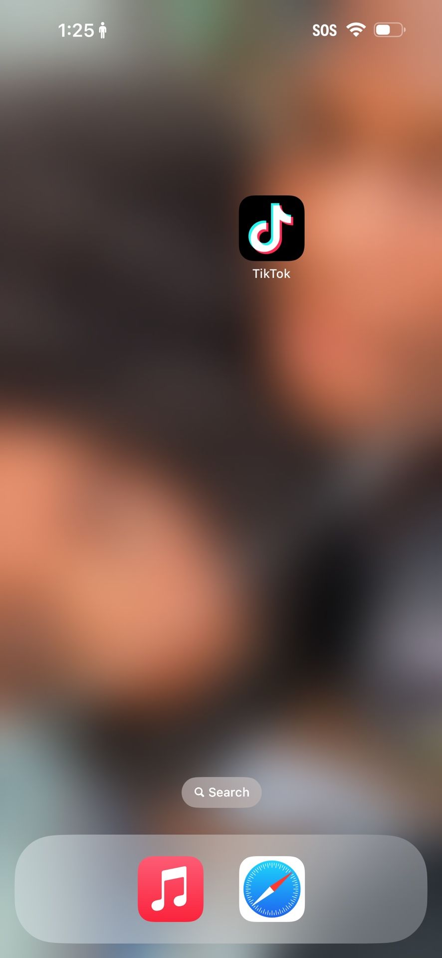 iPhone 14 Pro Max (TikTok)