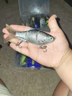 Fishing Lure And Spinning Reel