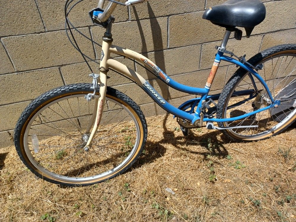 6 Speed Cruiser - Torker