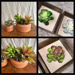 Decorative Faux Succulents