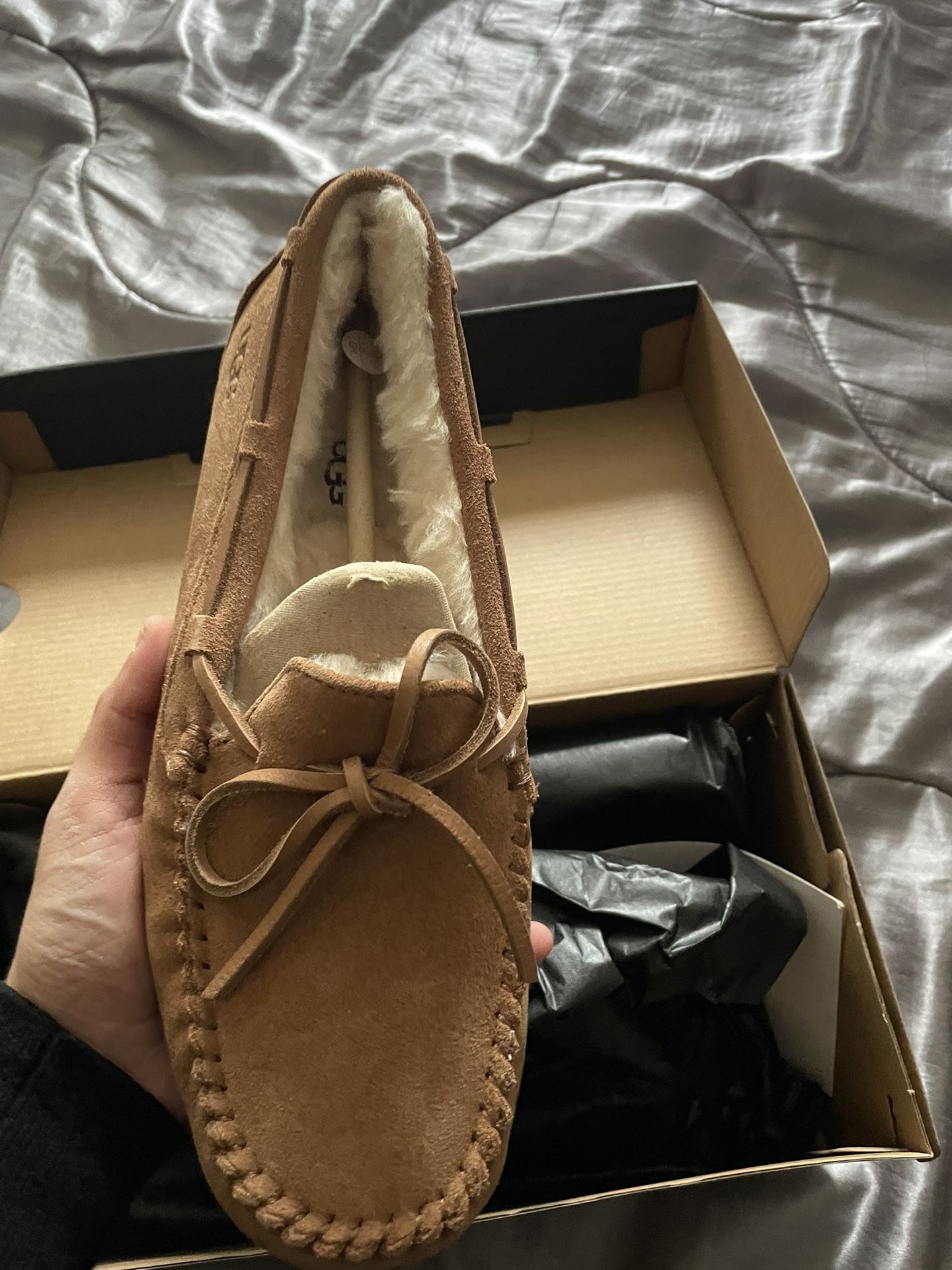 BNIB Ugg Olsens