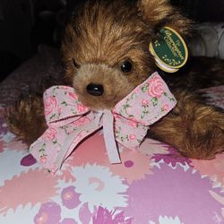 Brown bearing can bear collection edition