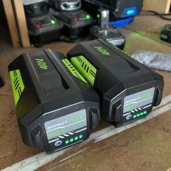 6.0 Ah 40v Battery (for Ryobi)