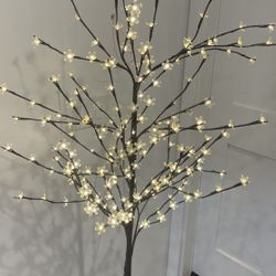 5 Foot Tall Flower Tree