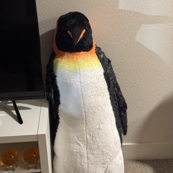 Teddy Bear Penguin For Sale