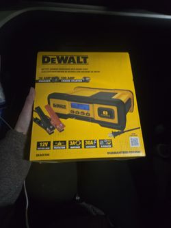 Dealt Battery Charger/Maintainer with Engine Start