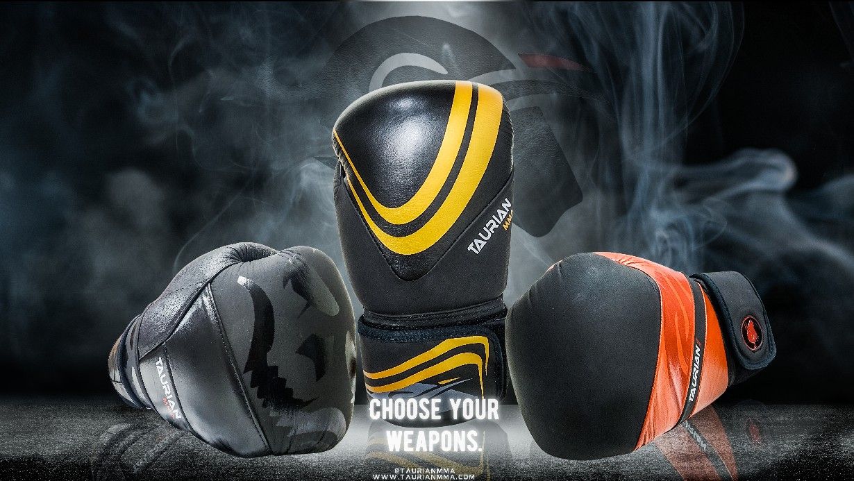 Leather Boxing Gloves (Pro)