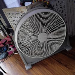 Big Fan 