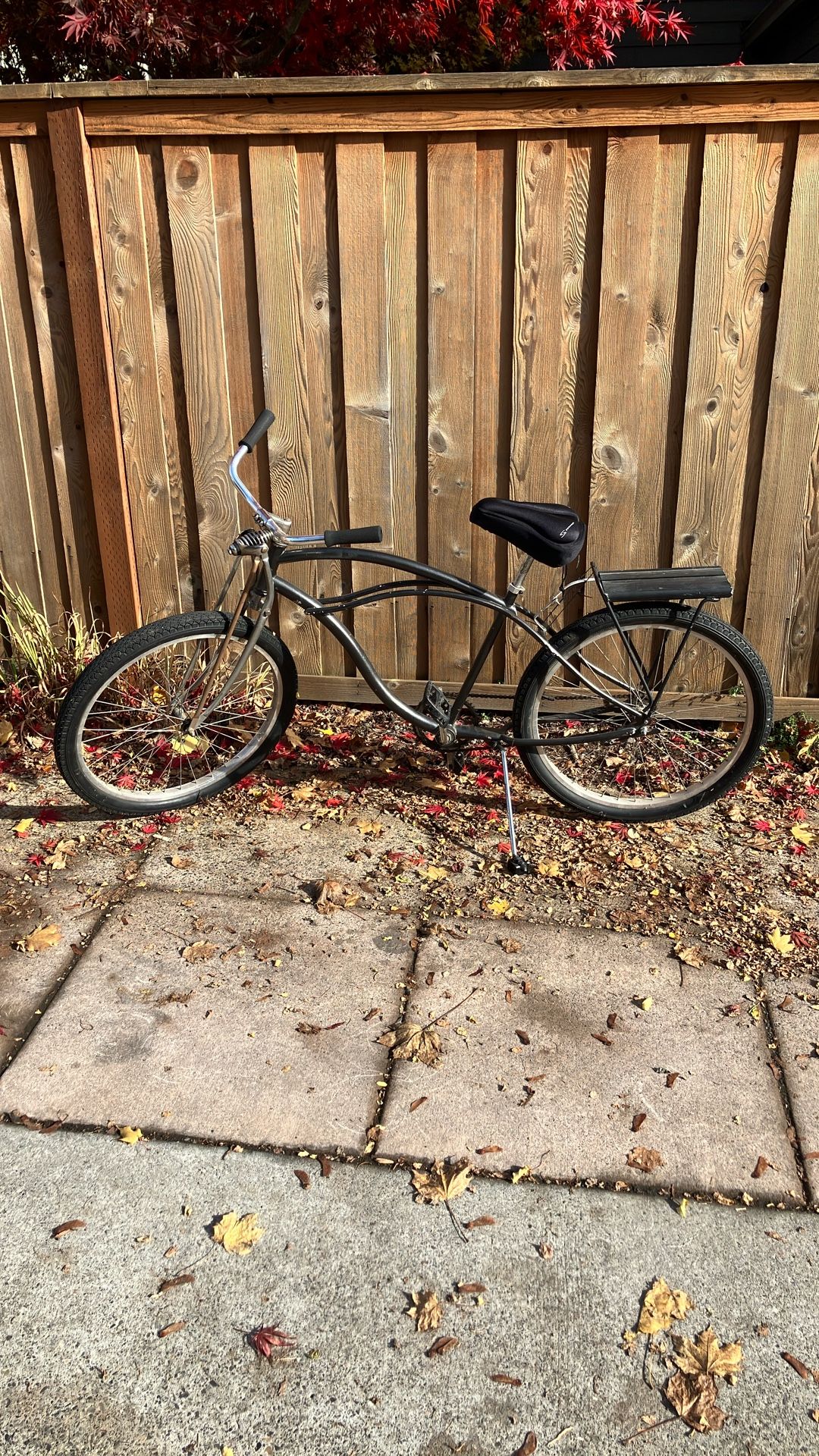 Cruiser Bike Medium/Large $40 obo