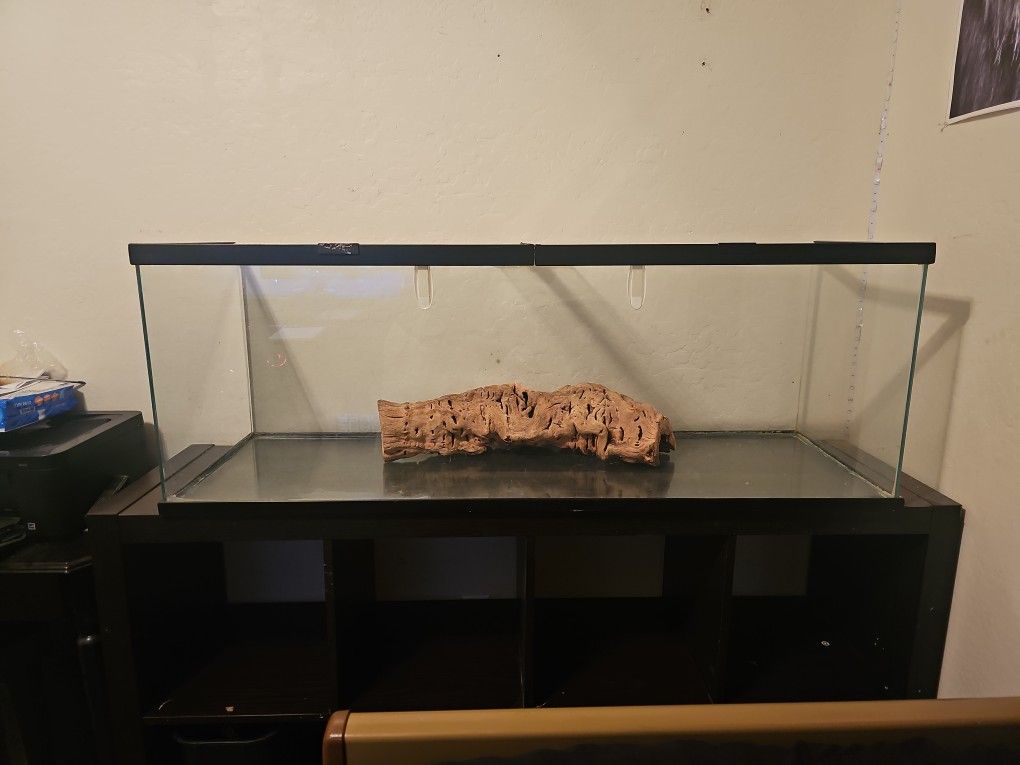 Fish/snake/lizard Tank + Stand.