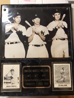 Joe DiMaggio Mickey Mantle Ted Williams plaque