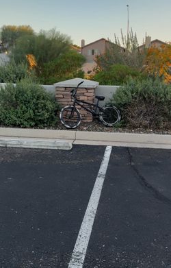 Elite bmx