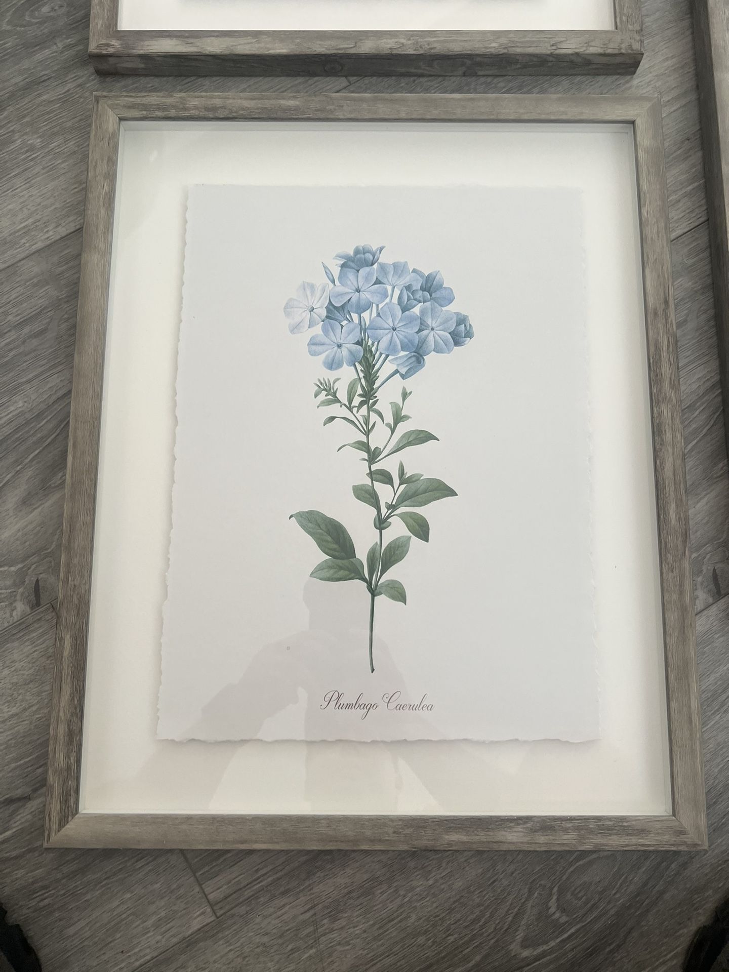 Frame/Picture