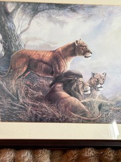Framed Lion Pride Wildlife Art Print