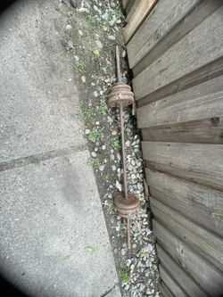 Curl Bar with Weights
