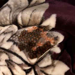 Heavy  Warm Wool Blanket For Harsh Winter—King Size