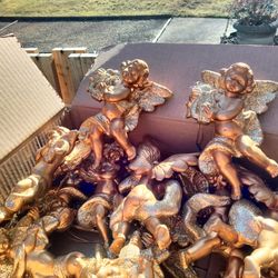 21 Golden Cherubs Fair--Good Condition