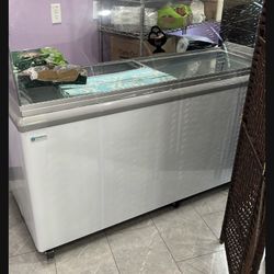 Gelato Freezer 