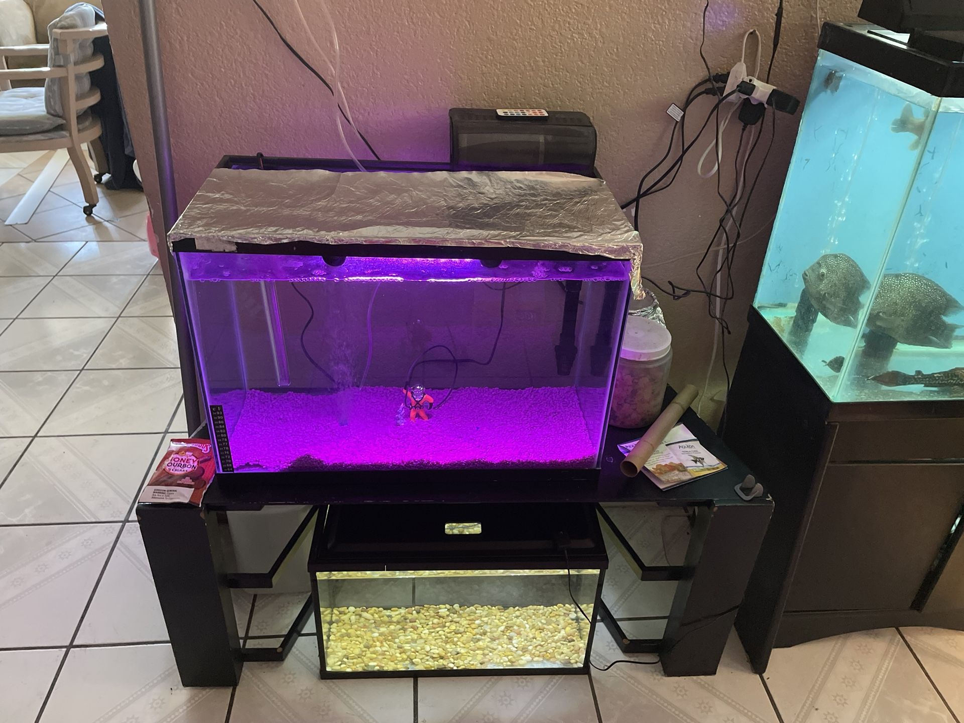 Fish Tank
