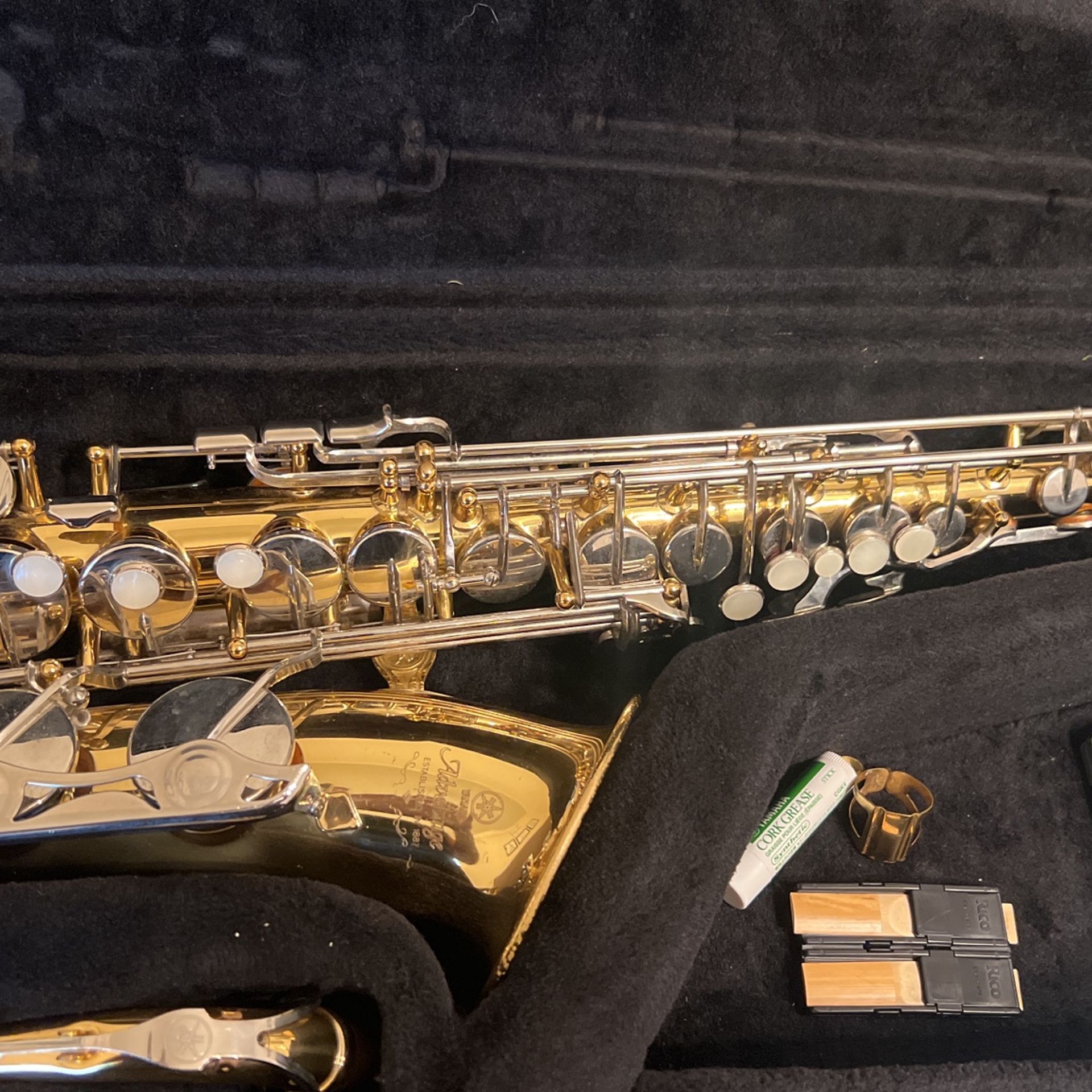 Beginner Alto Saxophone