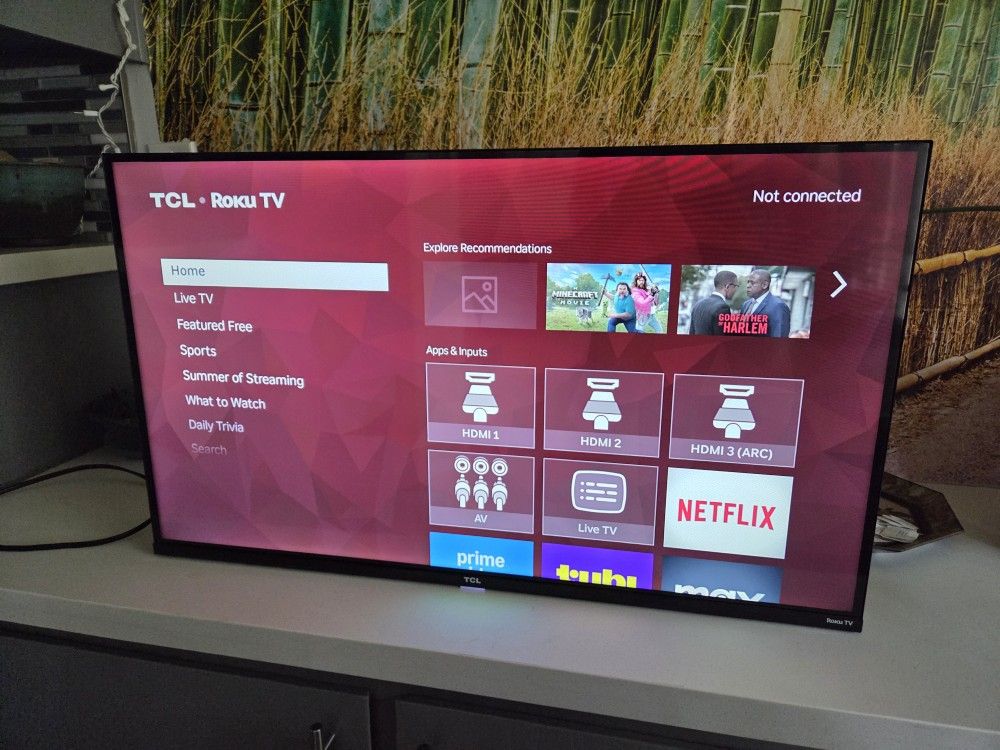Roku TV