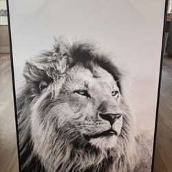 Lion Wall Canvas Picture 