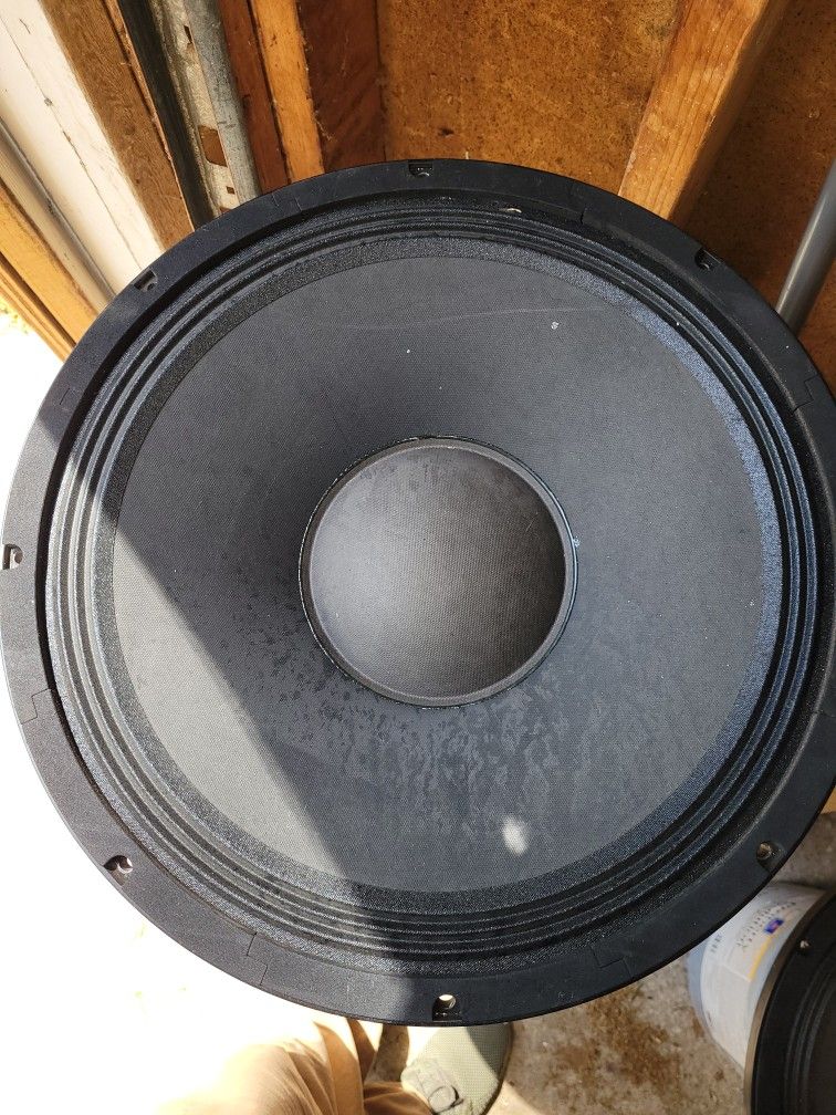 Two 18 Inch Speakers