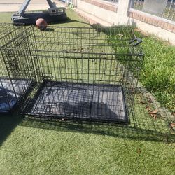 Dog Cages