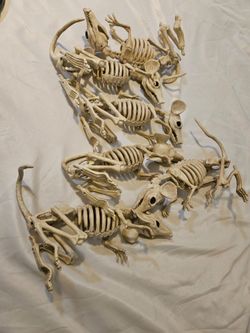 Plastic Rat Skeleton Halloween Decorations Set