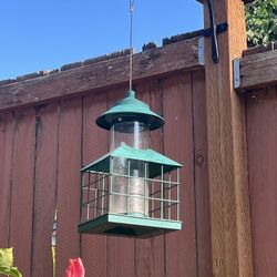 Bird Feeder 