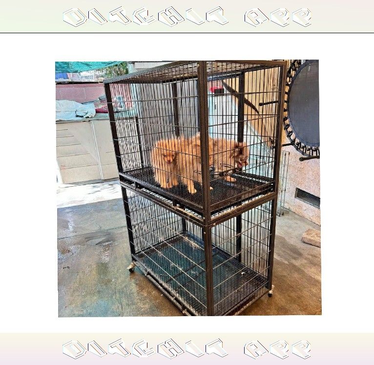 Pet Cages in Multiple Forms to Match All Pet Types source interesting
