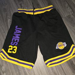 NBA LeBron basketball shorts