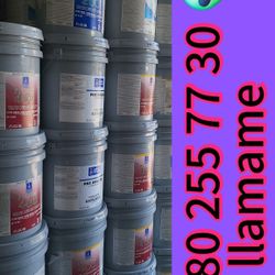 Paint For Sale 