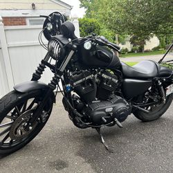 2015 Harley Davidson Iron 883 
