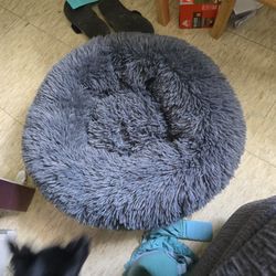 Dog Bed