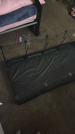 Guinea pig cage