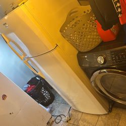Fridge And Freezer