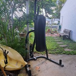 Everlast Punching Bag