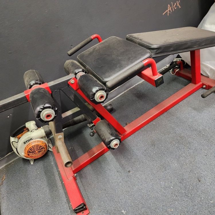 Elitefts leg curl cheap