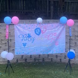 Gender Reveal Party Supplies