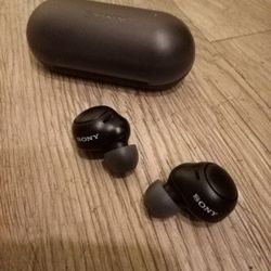 Sony WF-C500 Noise Canceling Earbuds
