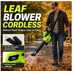 Leaf blower cordless