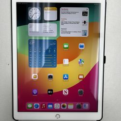 iPad pro 12.9 2nd Gen 256GB