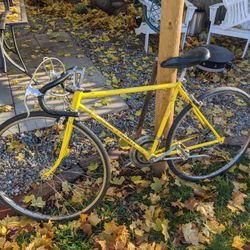 Vintage 10 Speed