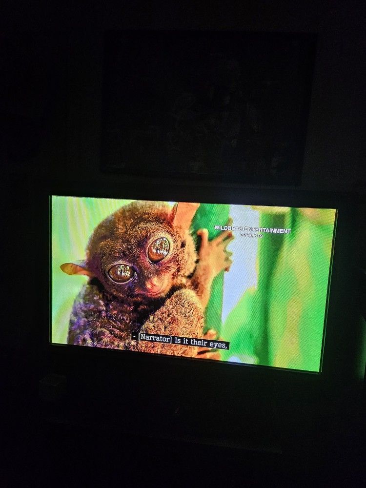 Samsung HP-T4264
42" plasma HDTV With Samsung H450 Soundbar