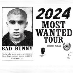 Bad Bunny Tickets 2 $230