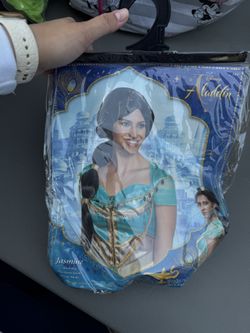 Princess Jasmine Wig