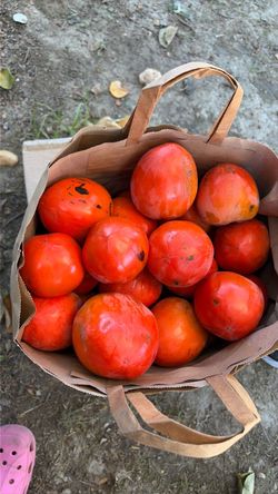Persimmons