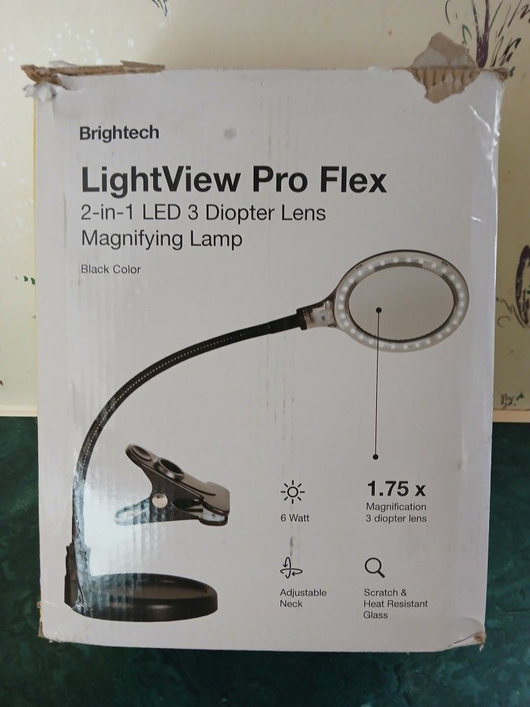 Electric Magnifying Lamp